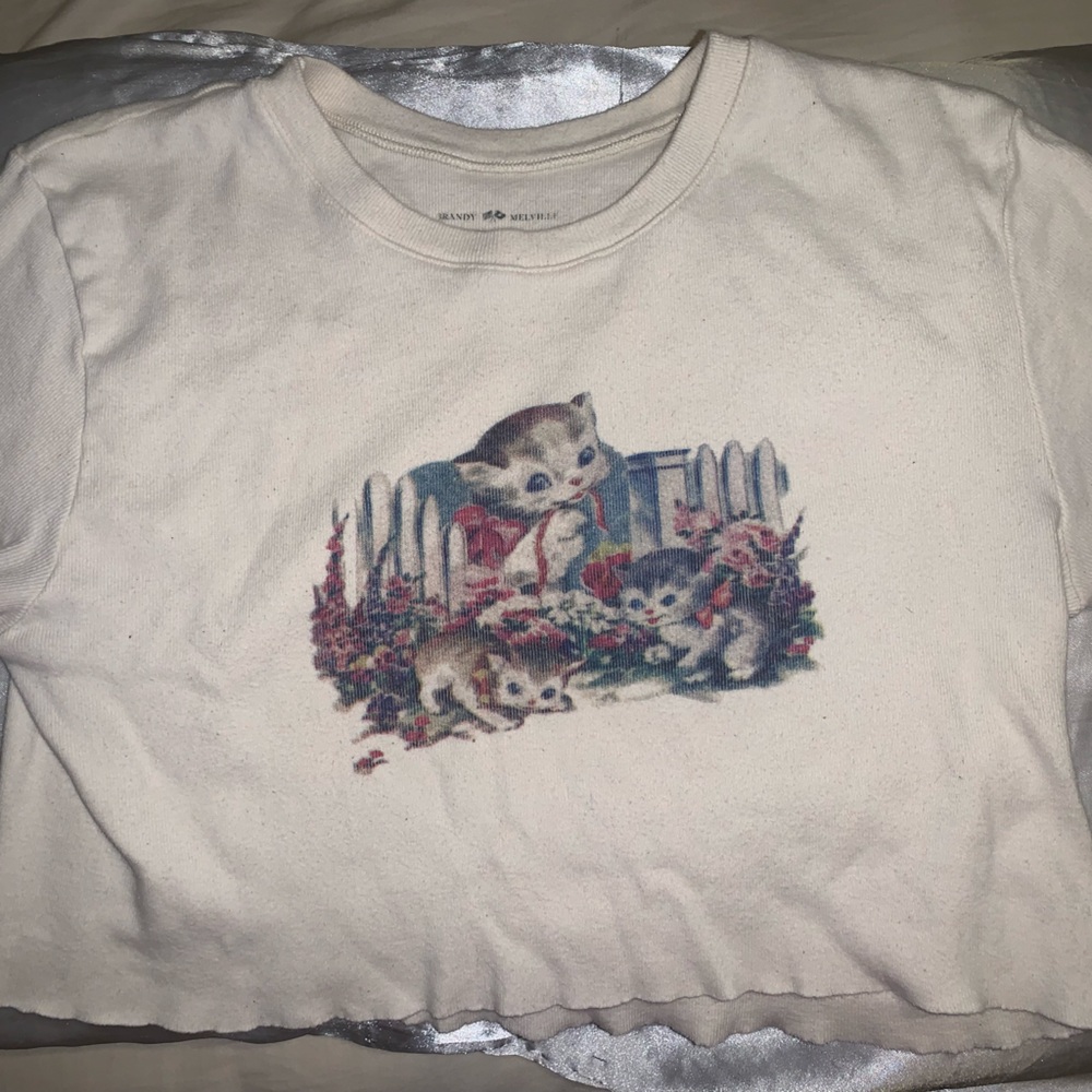 Brandy Melville crop top